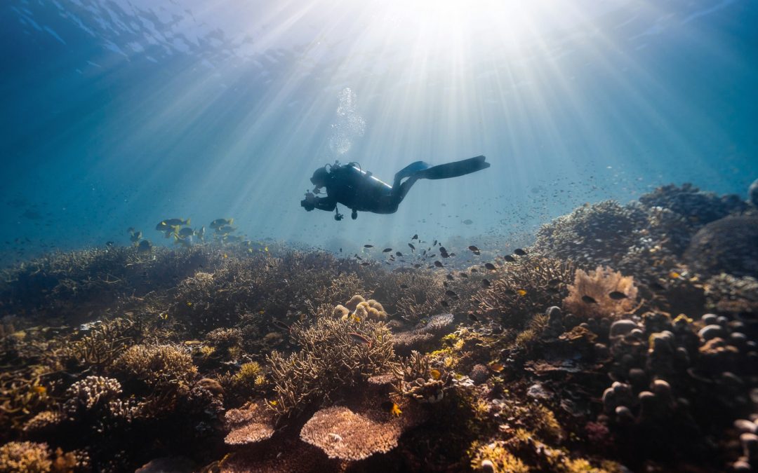 Underwater Wonders: Best Countries for Scuba Diving Adventures